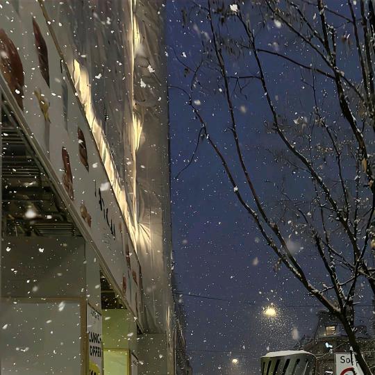 长情