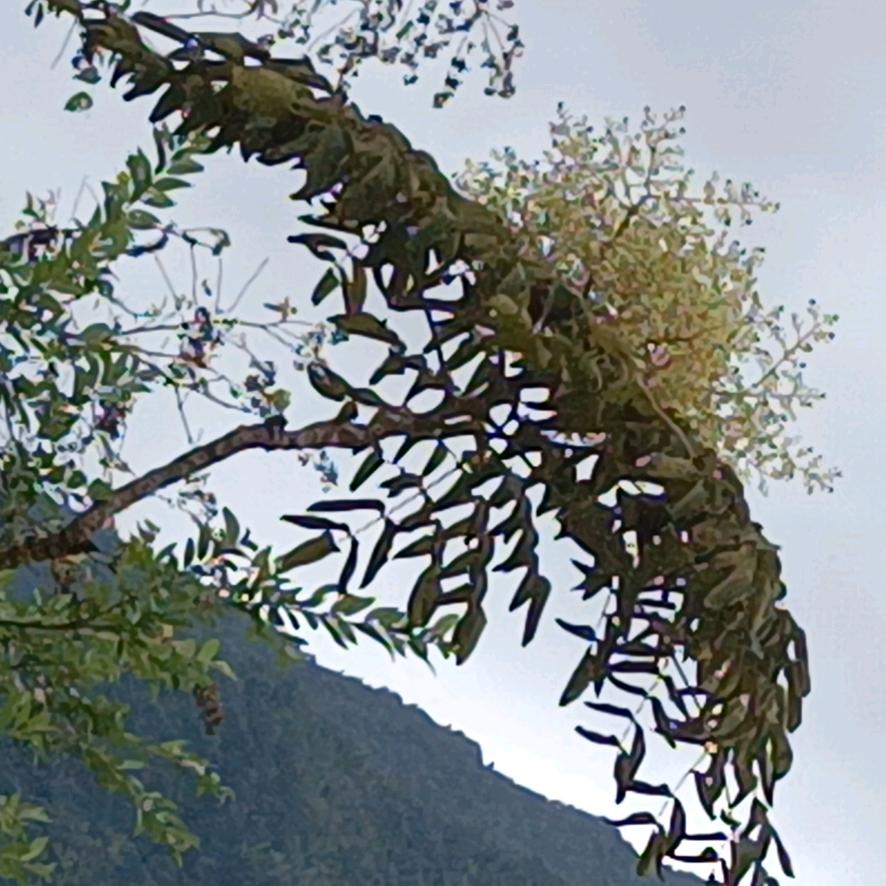 不可能，绝对不可能