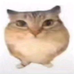 baba不一