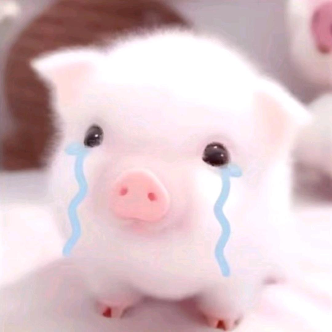 虍.