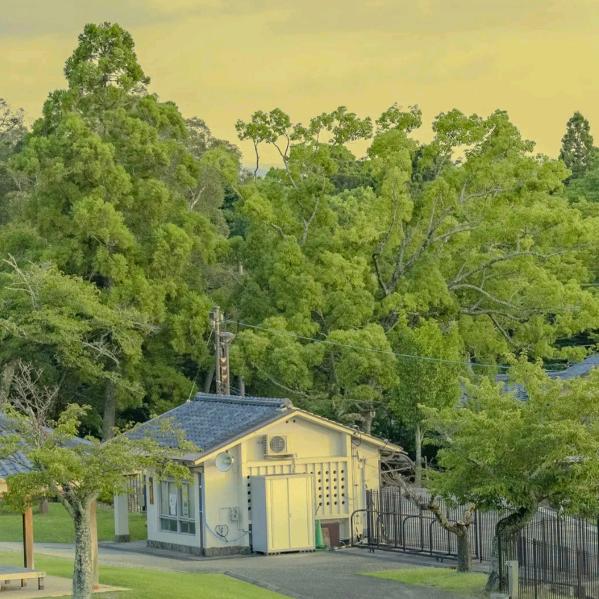 🆙 韩律师（夜猫子版）