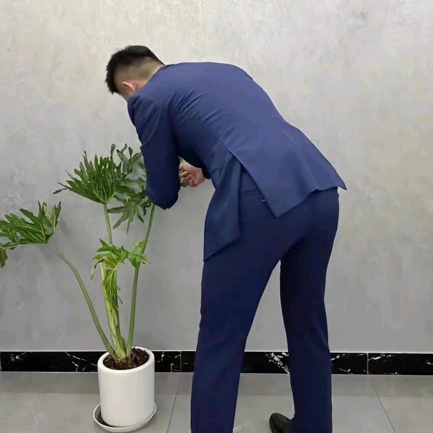 拥你入怀