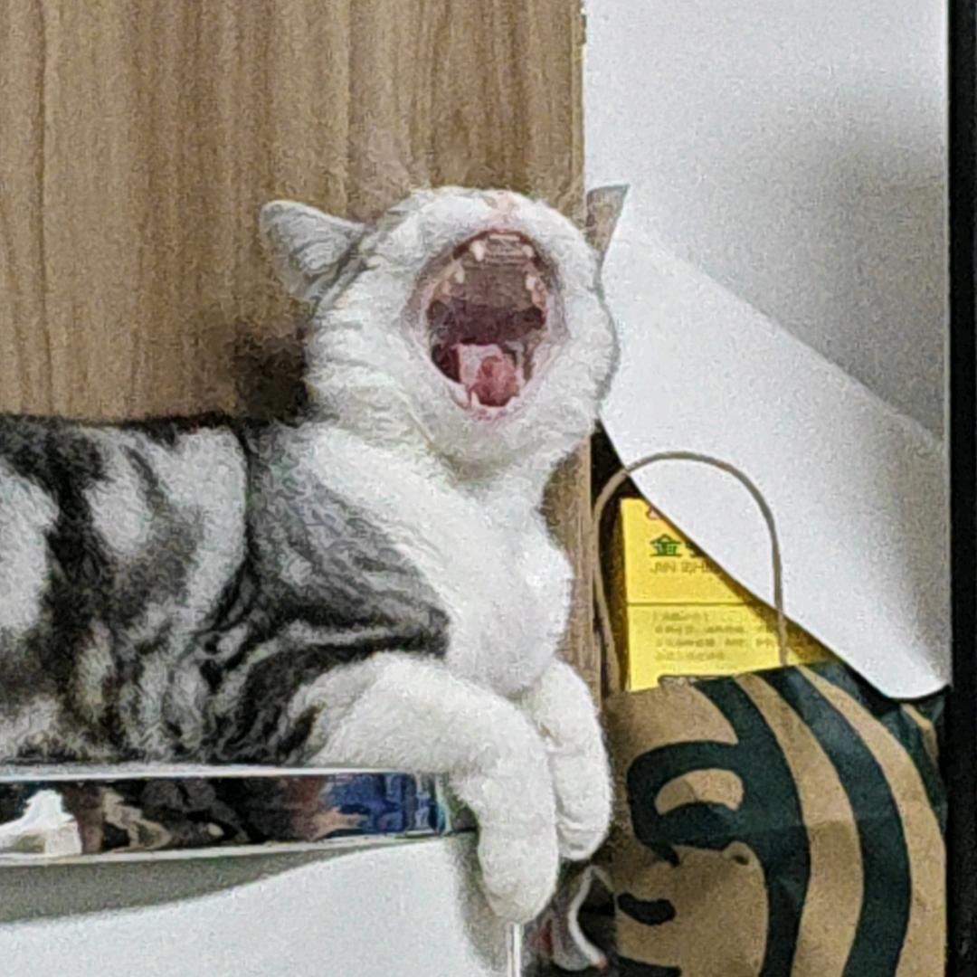 肿想执一嘢