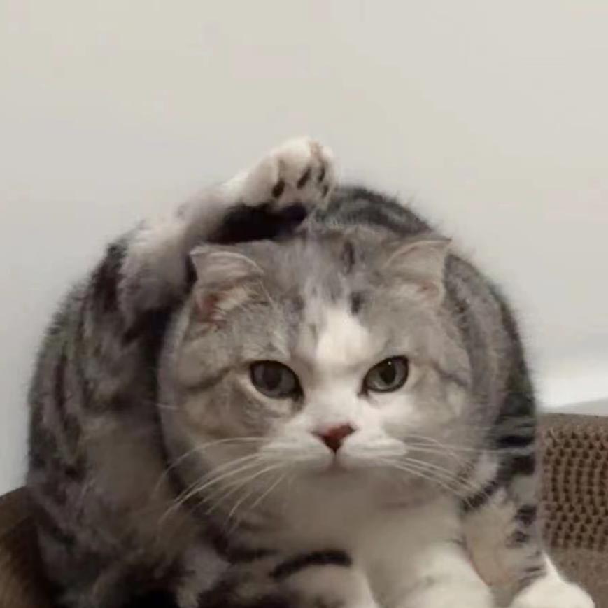 聆海
