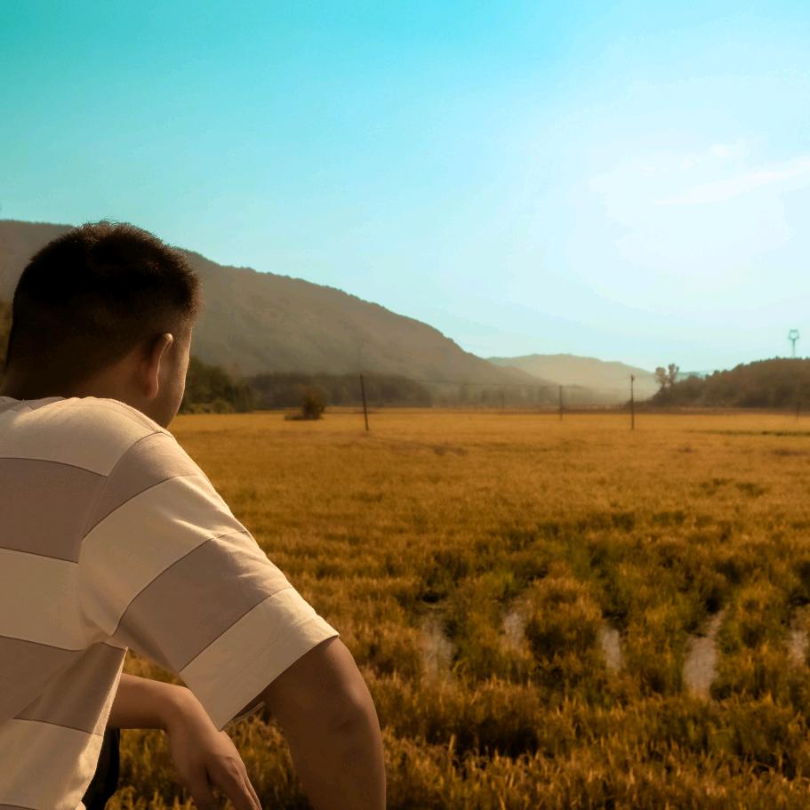 小洋哥（回村版）