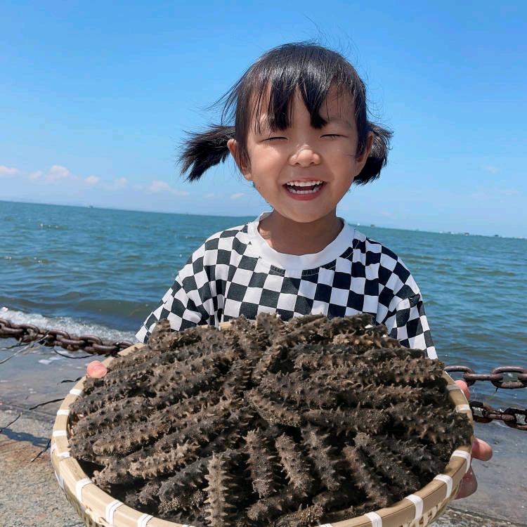 天海禄官方旗舰店