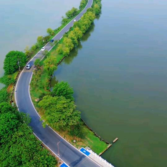 李阳