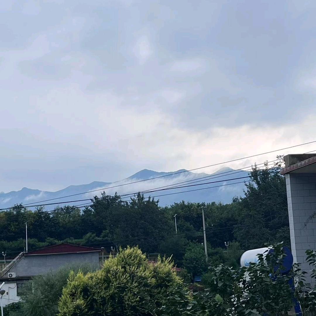 善财
