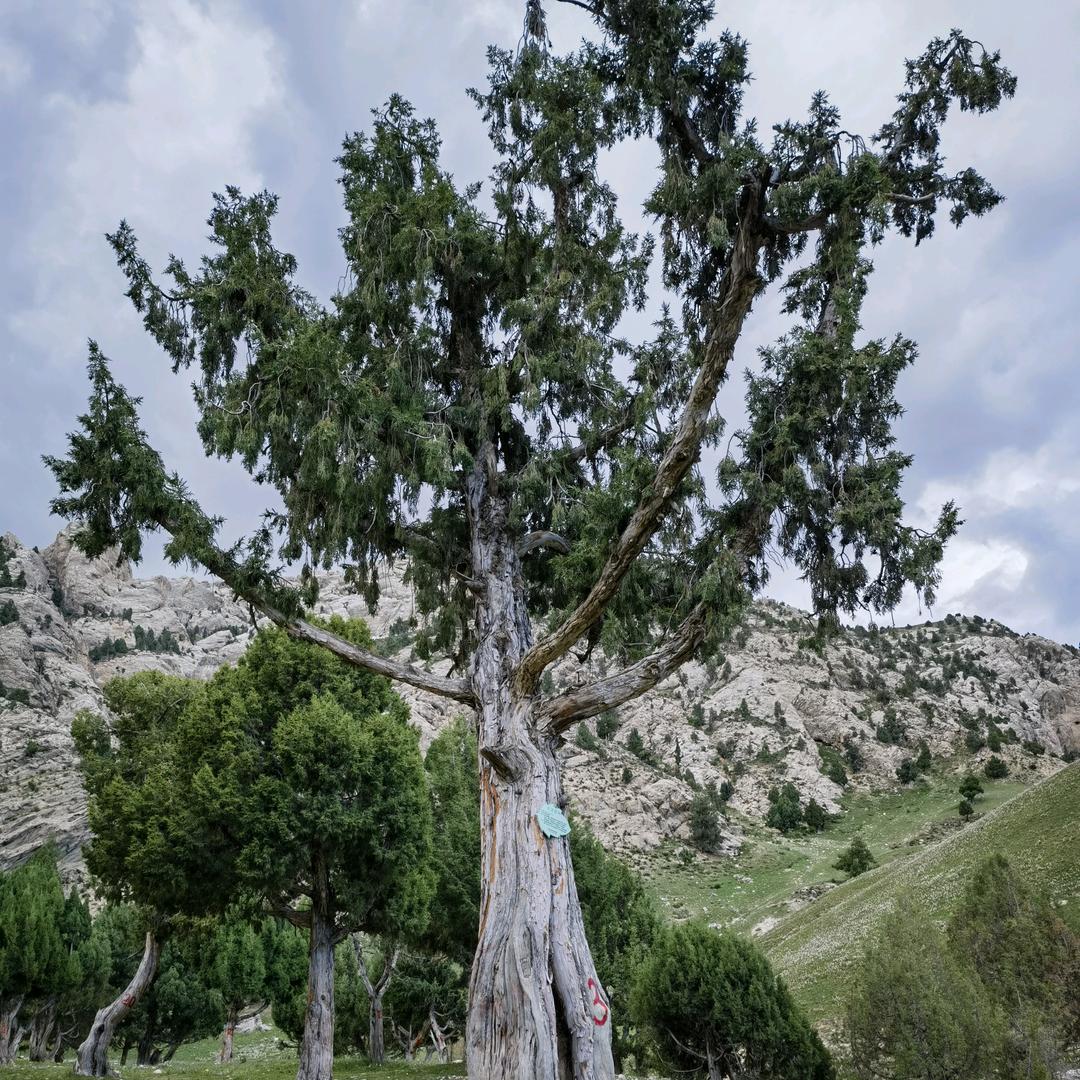 德令哈撒鲜坊牛羊肉批发