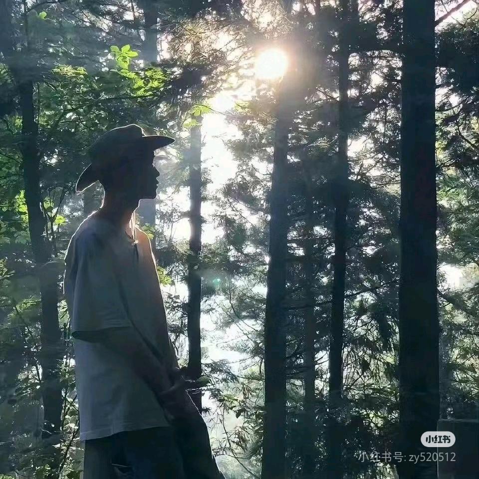 橙子🍊游戏