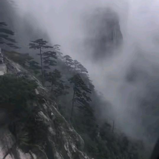 凤梨严选
