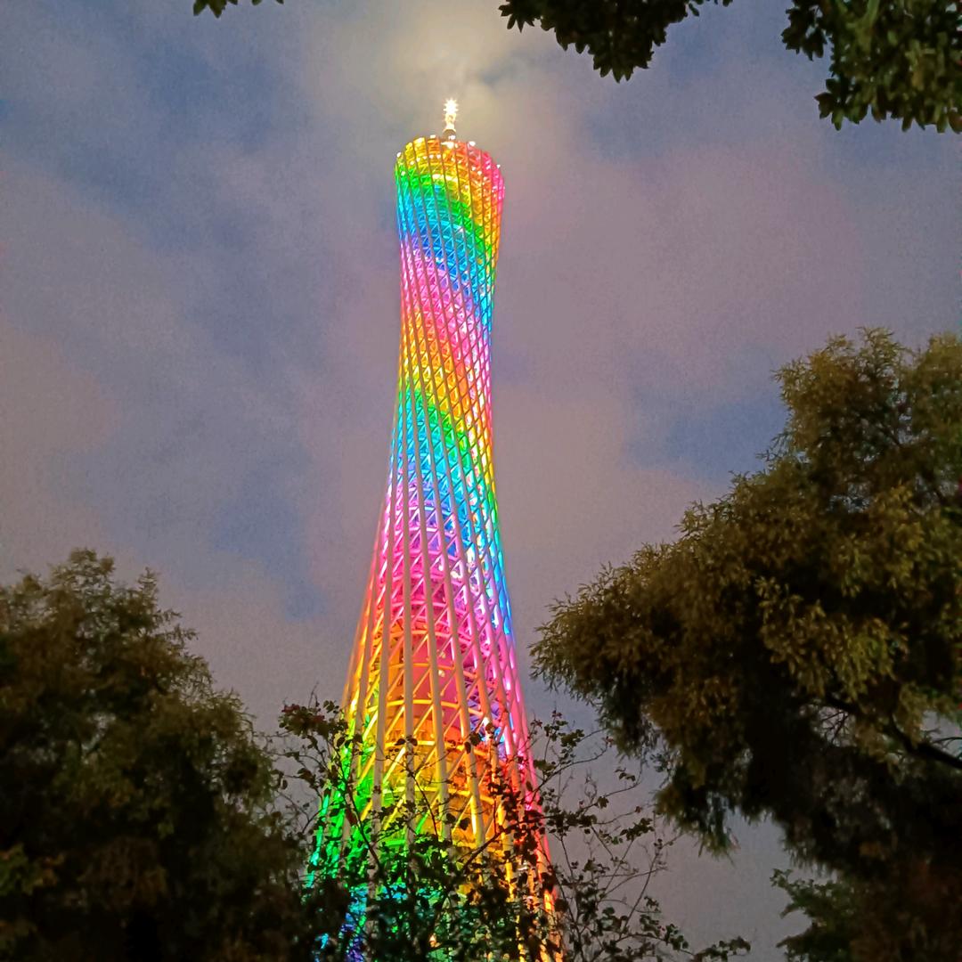 粤鱼
