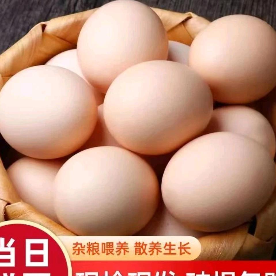AA-农家土鸡蛋批发琳姐