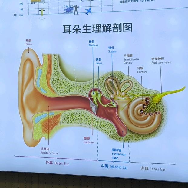 自然之声助听器新蔡店
