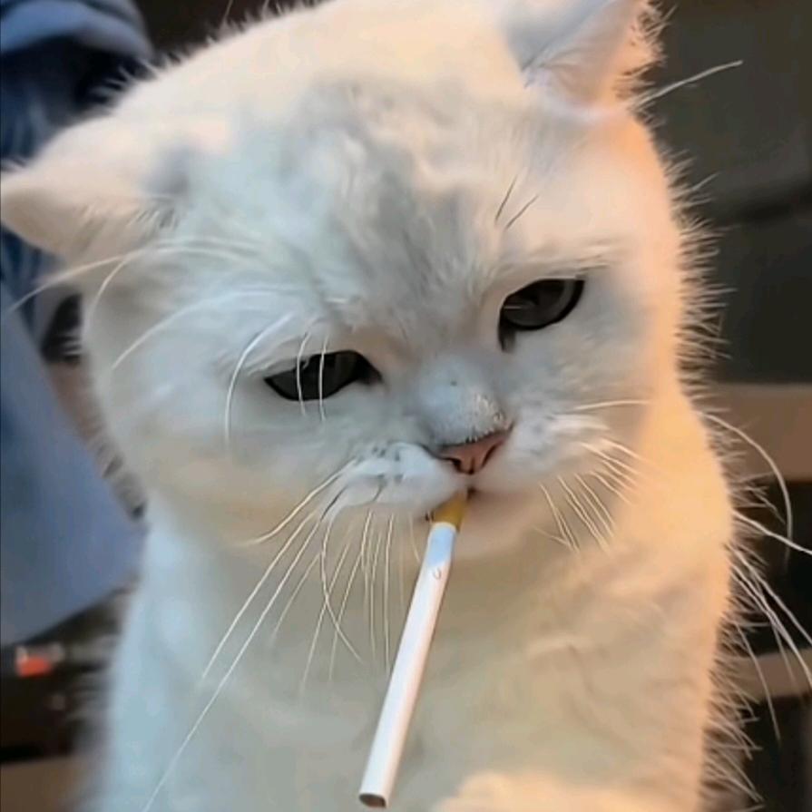 半世青春是自己