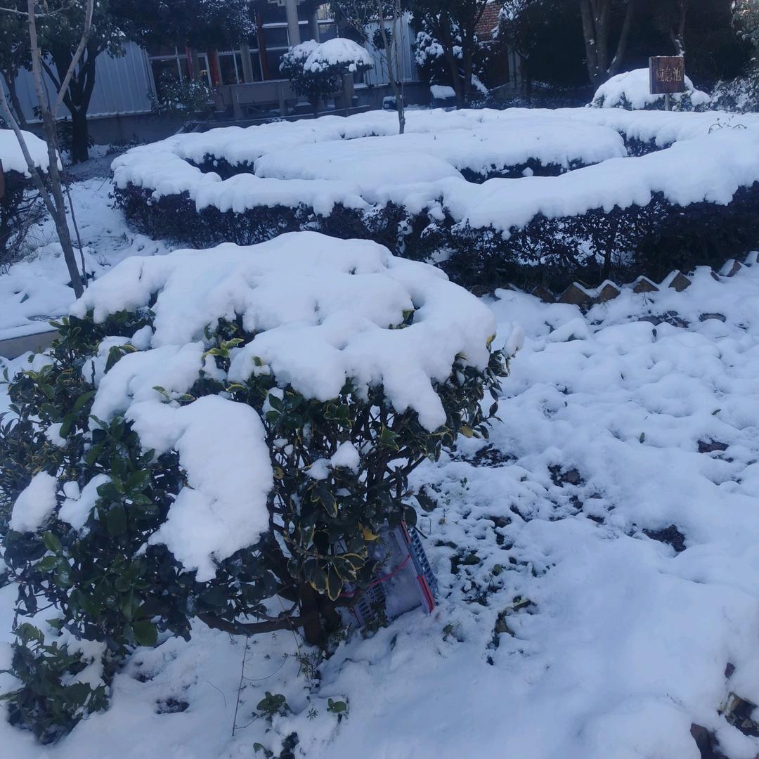 开心过好美一天