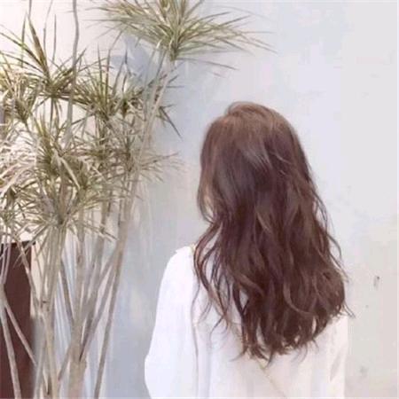清风