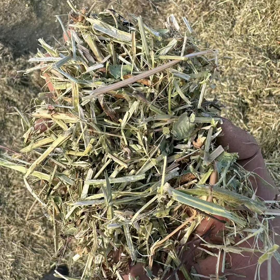 明瑞畜牧草业