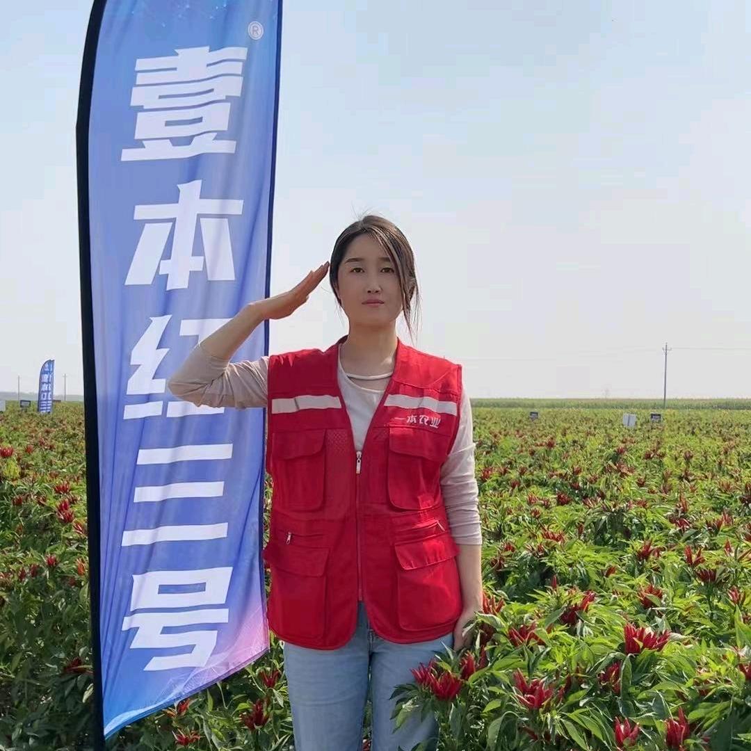 内黄辣椒妹农业