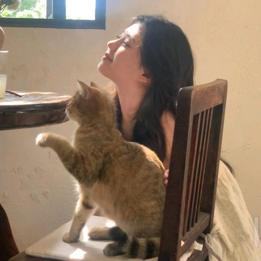 南栀晚风🐯