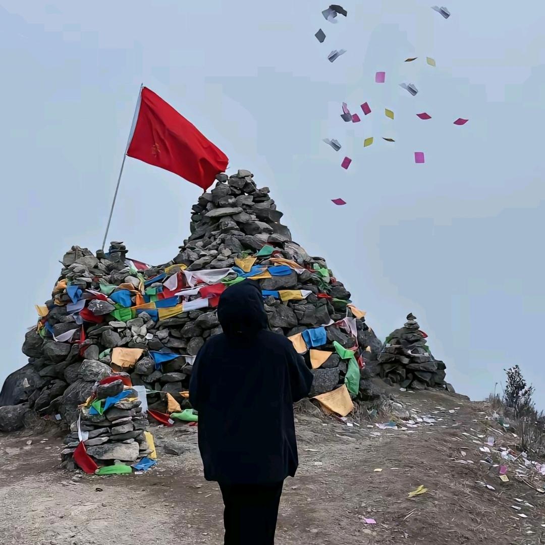 张小宇.
