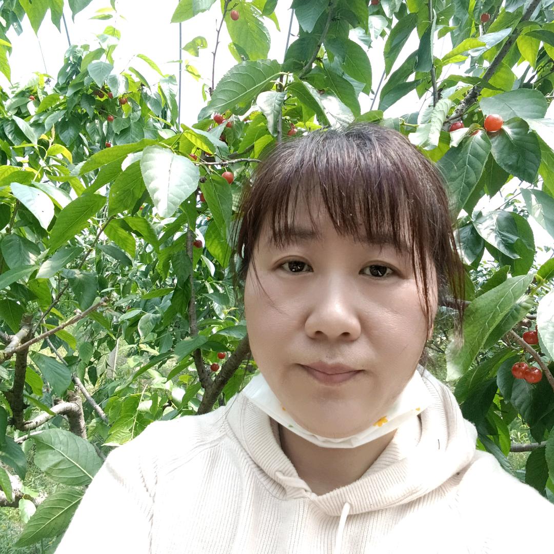 毛毛虫早7:40