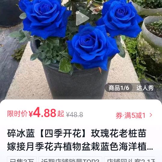 开开心心的人