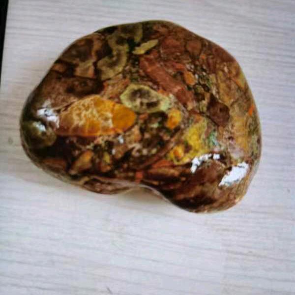 冯家排行老五