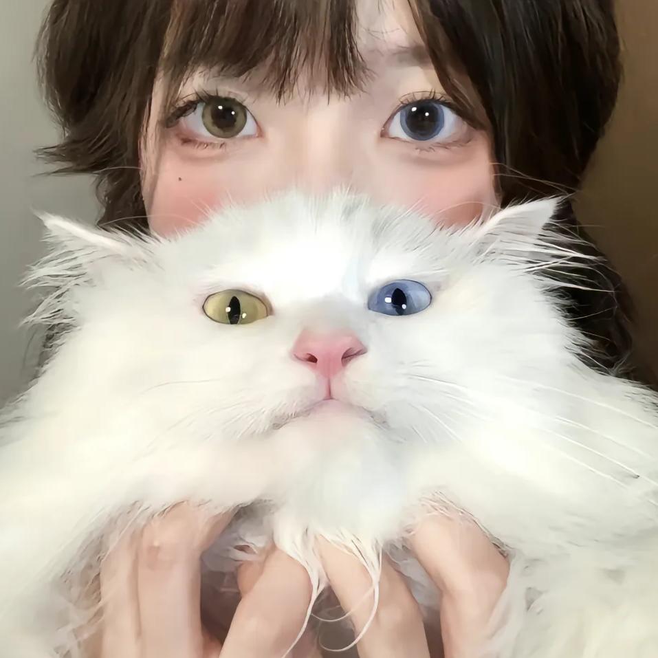 西红柿没错