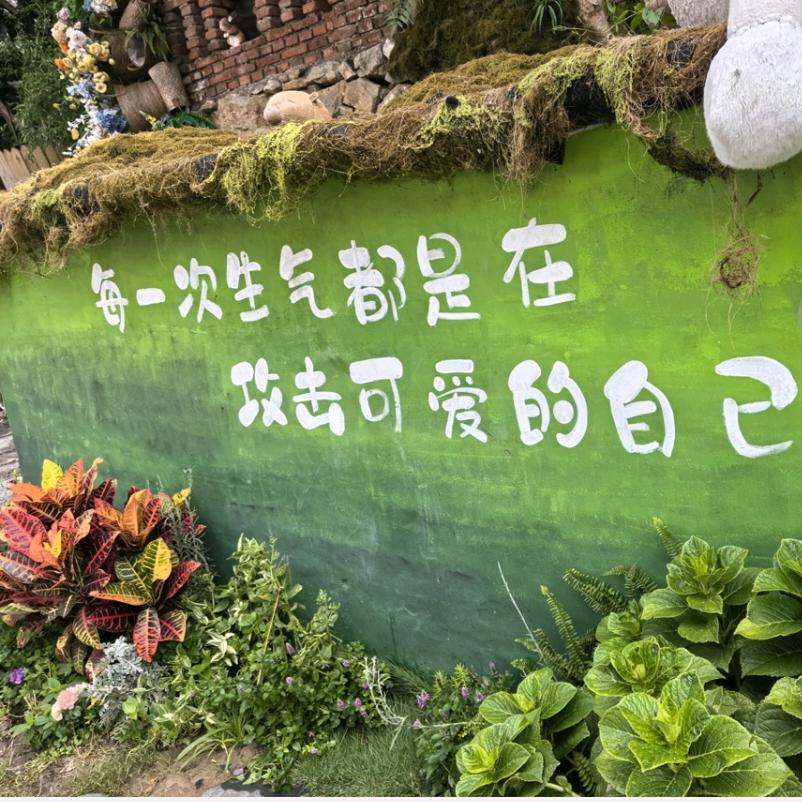 大志爱生活