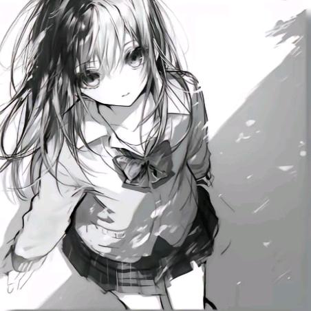 夜兰花
