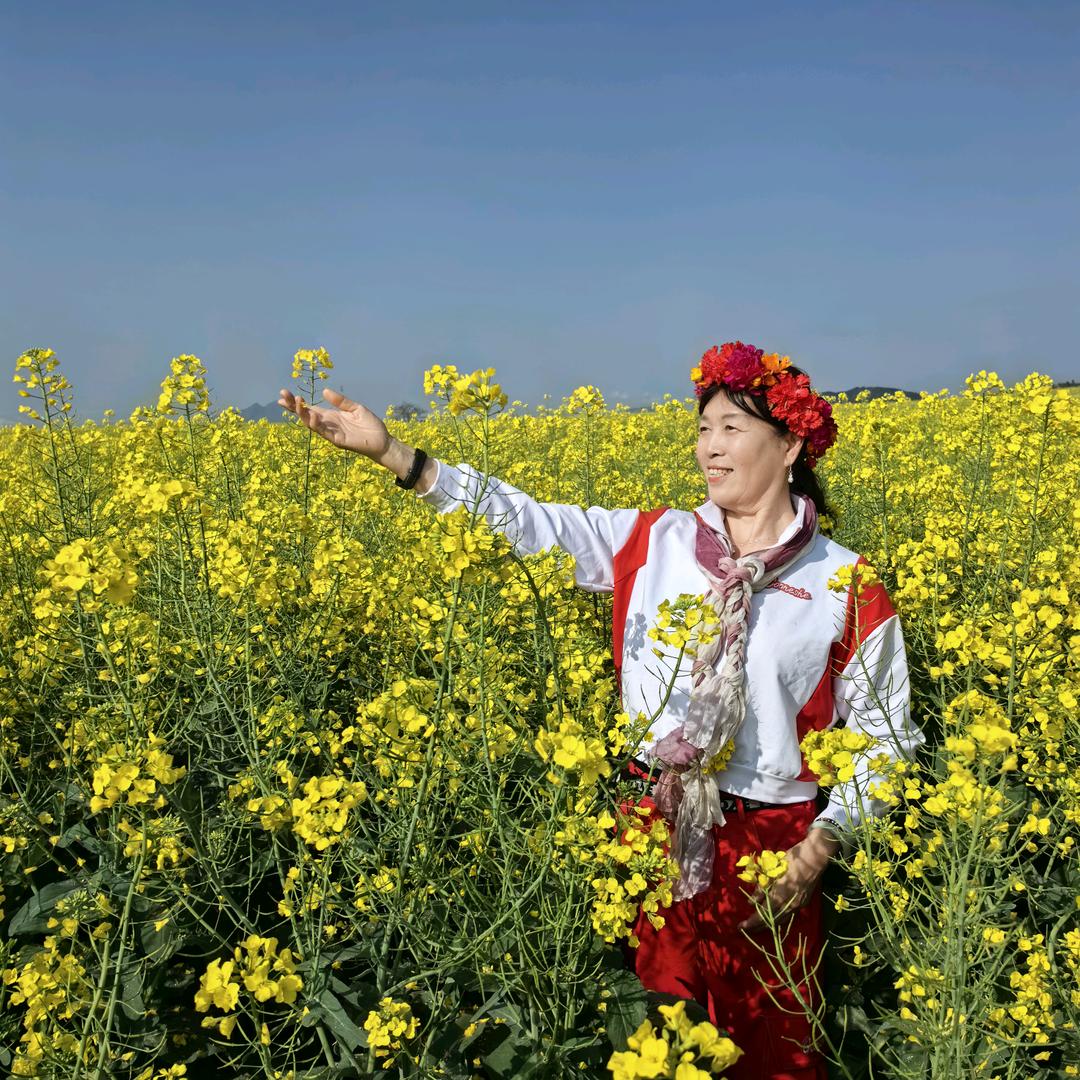 莲莲