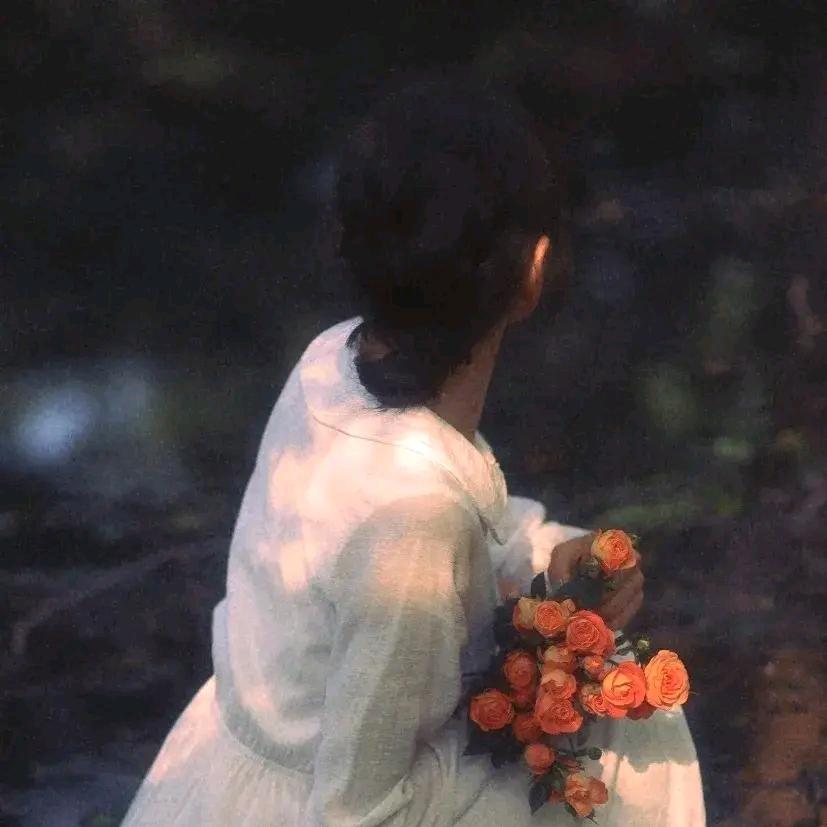 葡萄柚绿江南岸