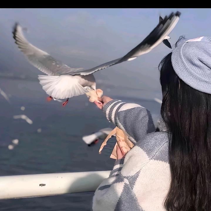 yoyo呀