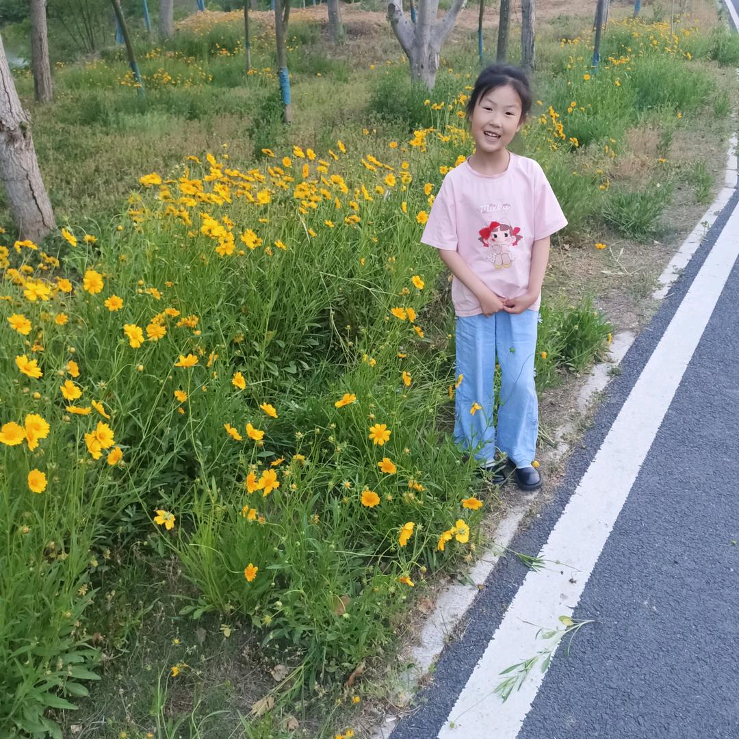 杨八妹