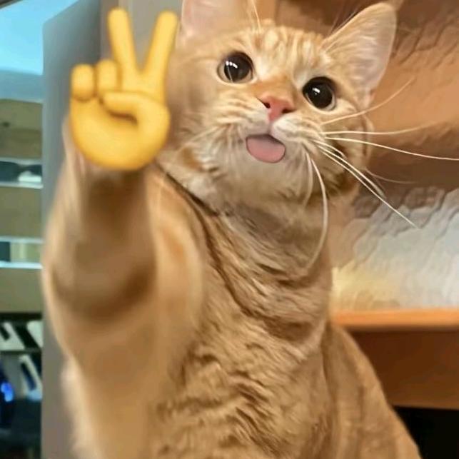 六月