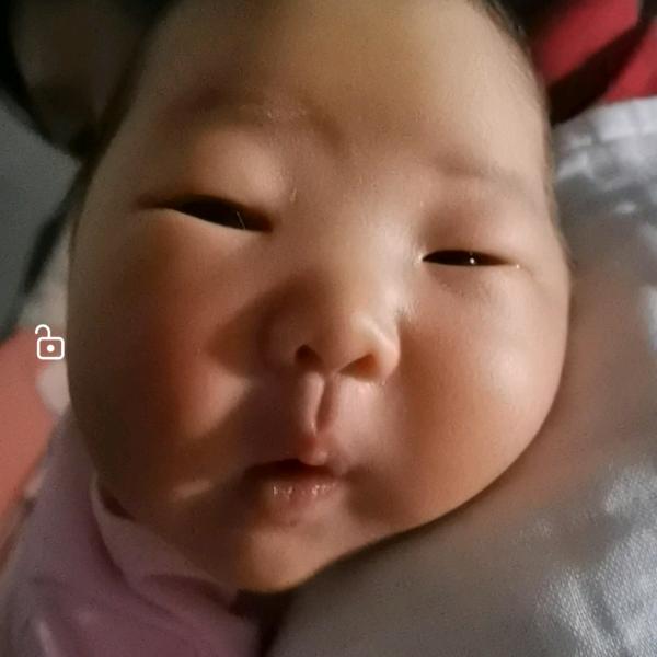 易杨来了
