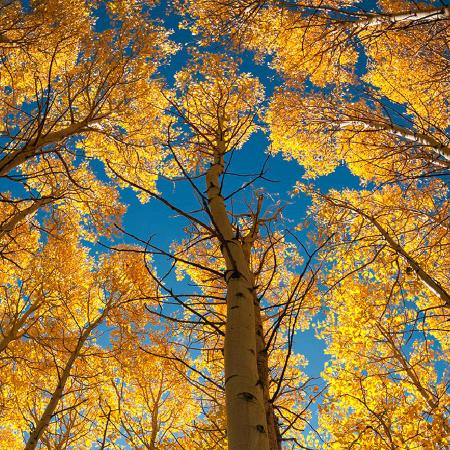 王先生蔬菜育苗基地