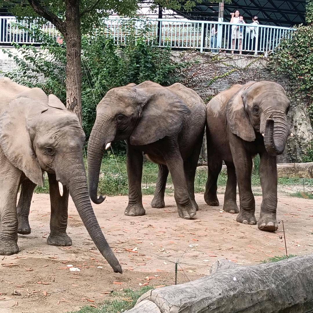 新用户多多关注