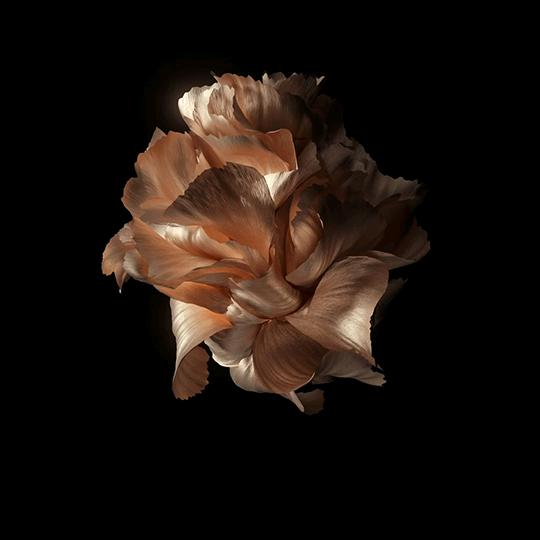 🌈🌈🌈🌈🌈🌈🌈🌈🌈鱼儿