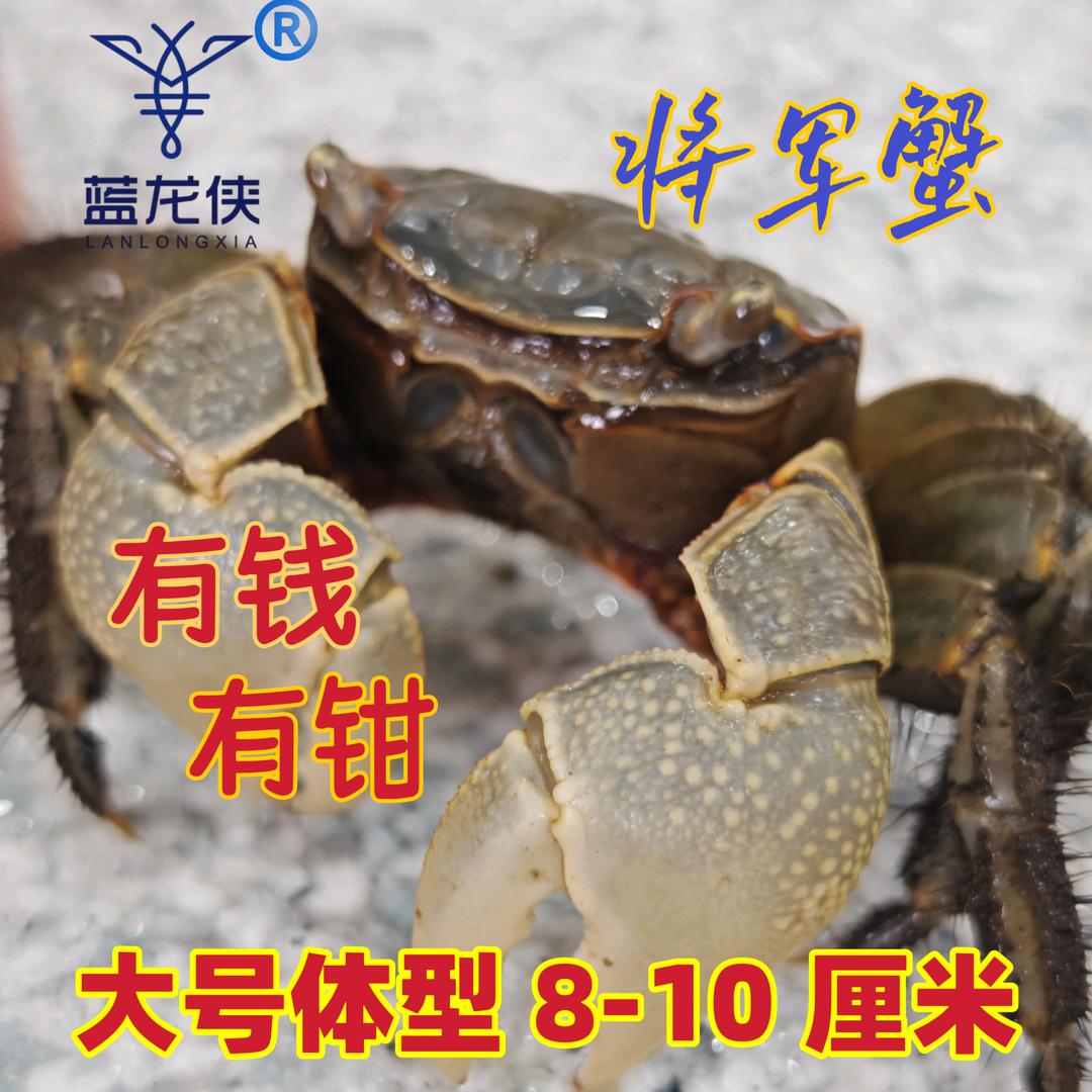 长期出售螃蜞