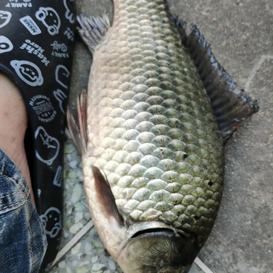一人，一竿，一世界。