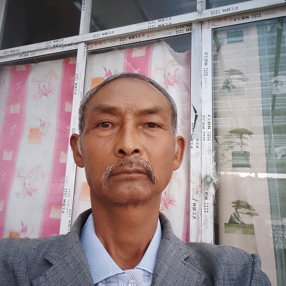 茶叶专家