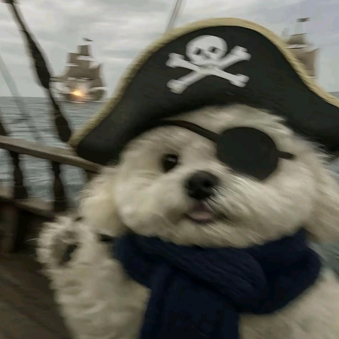 江大海头像