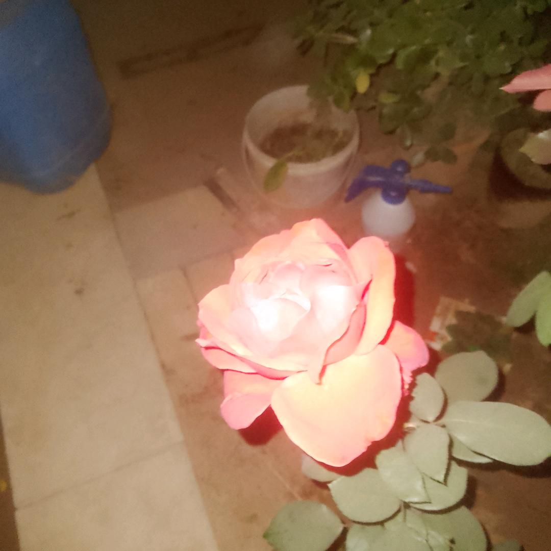 孤独的一个人过