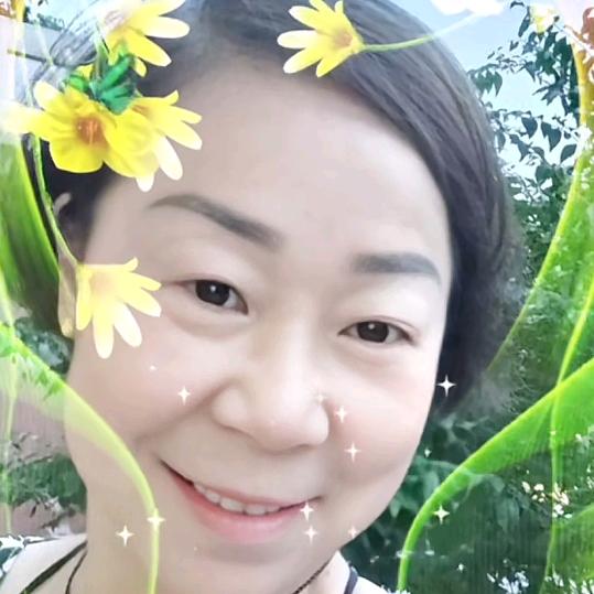 曼舞人生