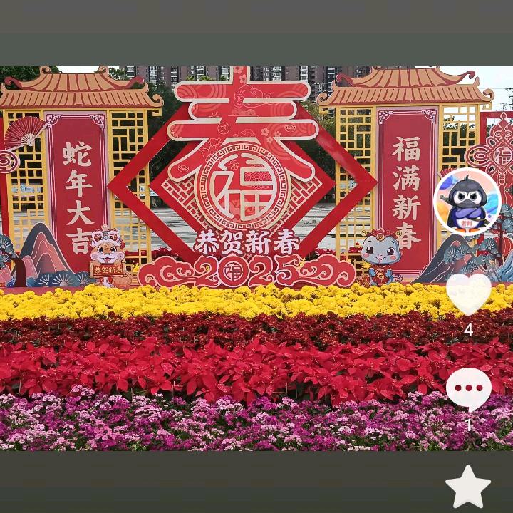 老肖