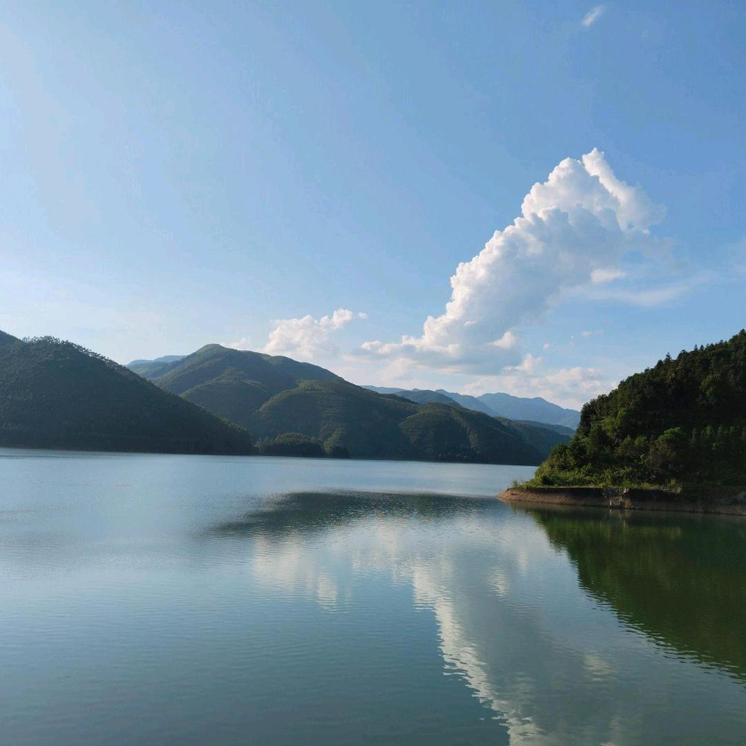 爱分享凉凉一夏