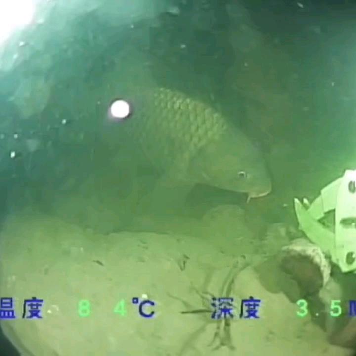 水下无人机探索