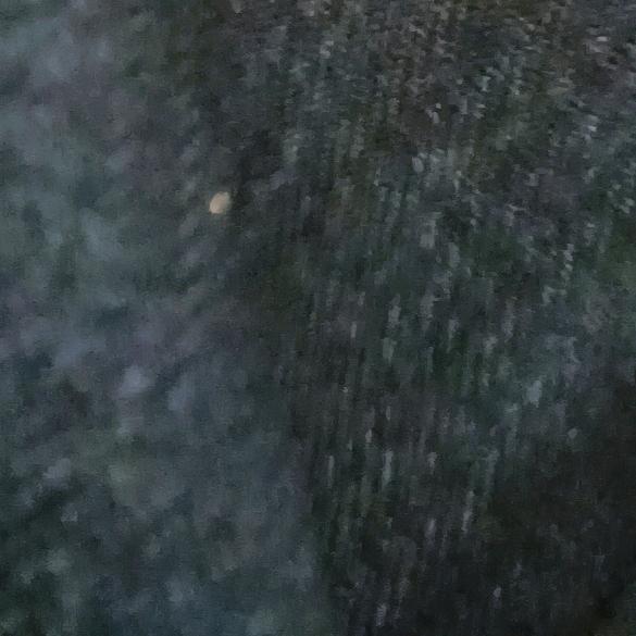 老周